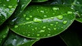 dew drops on leave generated AI Royalty Free Stock Photo