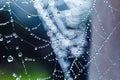 Dew drops on spider mesh with beautiful bokeh. Abstract natural background. Pattern with dew drop texture on spider mesh