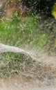 Dew drops on spider web cobweb closeup with green background for wallpaper. Royalty Free Stock Photo