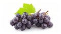 Dew-Kissed Black Grapes: Captivatingly Isolated on a Pure White Canvas