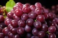 Dew-Kissed Grapes: Juicy Bunch of Grapes Glistening with Moisture - Generative AI