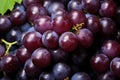 Dew-Kissed Grapes: Juicy Bunch of Grapes Glistening with Moisture - Generative AI