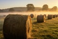 dew-kissed hay bales under the soft light from a nearby farmhouse