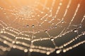 Dew-kissed spider web glistening at sunrise, nature's intricate patterns and delicate beauty Royalty Free Stock Photo