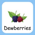 Dewberries Flat Design, Illustration for Kids, Clip Art vector flat design Royalty Free Stock Photo