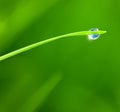 Dewdrop with Sky reflection on Blade of Grass Royalty Free Stock Photo