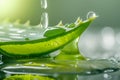 Dewdrop on Vibrant Green Leaf with Aloe Juice