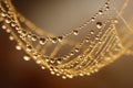 Dewdrops adorn delicate spiderweb strands in soft, abstract elegance Royalty Free Stock Photo