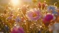 Dewdrops Gleam On Sunrise Flowers In A Field Royalty Free Stock Photo