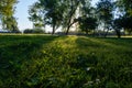 Dew drops are bright diamonds on the morning green grass Royalty Free Stock Photo