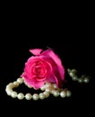 Dewey pink rose and pearls - vertical orientation Royalty Free Stock Photo