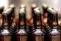 dewy bottles of beer in a row in a warehouse ready for export Royalty Free Stock Photo