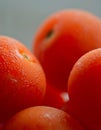 Dewy Cherry Tomato Royalty Free Stock Photo