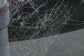 Dewy cobweb between two rowing boats in river Oude IJssel