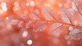 Dewy, translucent leaves on branch, soft orange bokeh background Royalty Free Stock Photo