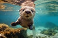 Dexterous Otter underwater. Generate Ai