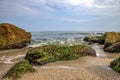 beautiful seascape with a close view of stone with moss. Blurred background