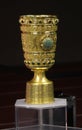 DFB Pokal Royalty Free Stock Photo