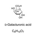 D-Galacturonic acid, chemical formula and structure Royalty Free Stock Photo