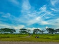 DHAKA, BANGLADESH OCTOBER 6,2020 This photo shows a road and some people are sitting on the grass and doing their gossip.