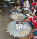 Dhaka,Bangladesh - 06.07.2021 - Poor fisherman selling fish on a local market during the third wave of corona in Bangladesh for Royalty Free Stock Photo