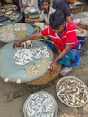 Dhaka,Bangladesh - 06.07.2021 - Poor fisherman selling fish on a local market during the third wave of corona in Bangladesh for