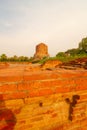 Dhamek stupa at Sarnath Royalty Free Stock Photo