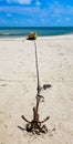 Dhanushkodi beach - union of Bay of Bengal and Indian Ocean, Rameshwaram, Tamilnadu, India.