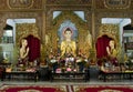 Dharmikarama burmese temple Royalty Free Stock Photo