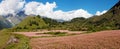 Dhaulagiri himal with buckwheat field Royalty Free Stock Photo