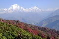 Dhaulagiri mountain in summer, Himalaya