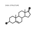 DHEA icon isolated on white background. Dehydroepiandrosterone hormone chemical molecular structure sign. Vector outline