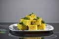 Dhokla Indian Home Recipe.