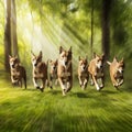 Dholes Running Through Lush Royalty Free Stock Photo