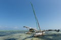 Dhow Fishing Boat on the Indian Ocean, Zanzibar, Tanzania Royalty Free Stock Photo