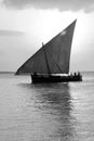 Dhow Sailing boat