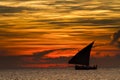 Dhow sailing during sunset in Zanzibar. D