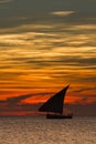 Dhow sailing during sunset in Zanzibar. D Royalty Free Stock Photo