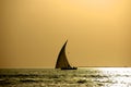 Dhow on a sunset Royalty Free Stock Photo