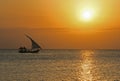 Dhow sunset zanzibar Royalty Free Stock Photo