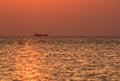 Dhow, traditional fishing boat moving in sea during sunset Royalty Free Stock Photo
