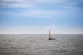 Dhow wooden fishing boat sailing Royalty Free Stock Photo