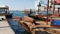 Dhows tied up in Dubai Creek