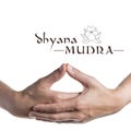 Dhyana mudra on white Royalty Free Stock Photo