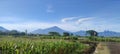 Di Bawah Langit Biru