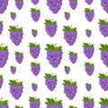 Vector seamless pattern with grapes and leaves. Grape seamless pattern. Seamless grapes on white background. Summer Royalty Free Stock Photo