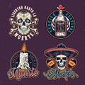 Dia De Los Muertos colorful emblems Royalty Free Stock Photo