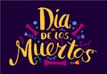 Dia de los Muertos, day of the Dead vector poster or card with spanish text lettering illustration. Hand drawn Royalty Free Stock Photo