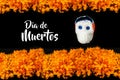 Dia De Los Muertos flor de cempasuchil, Day of the Dead offering in MÃÂ©xico