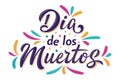 Dia de Los Muertos lettering sign. Text Day of the Dead with colorful splash elements